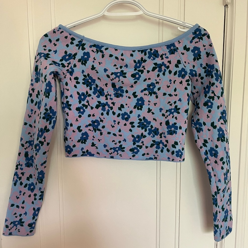Zara Blue and Pink Floral Crop Top